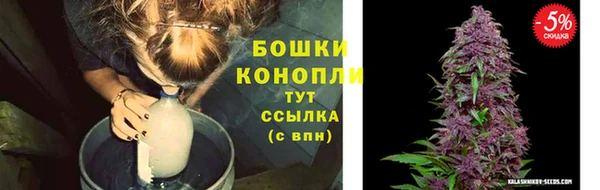 прущая мука Нея