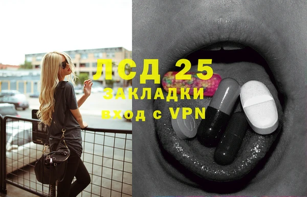ПСИЛОЦИБИНОВЫЕ ГРИБЫ Беслан