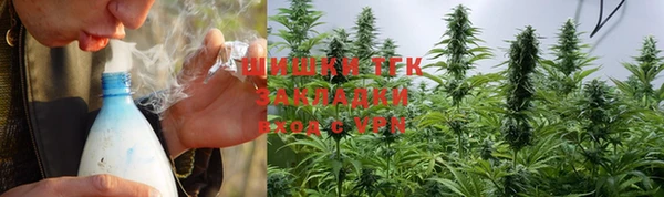 молекула духа Надым