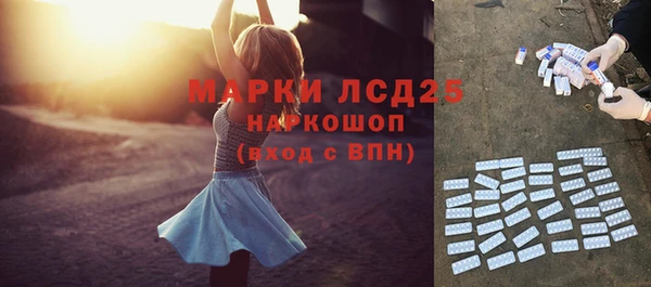 молекула духа Надым