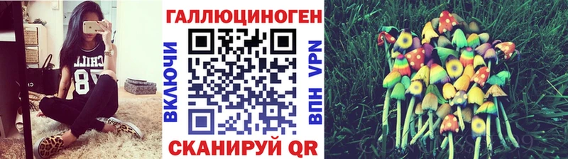 Галлюциногенные грибы MAGIC MUSHROOMS блэк спрут как зайти Тайга